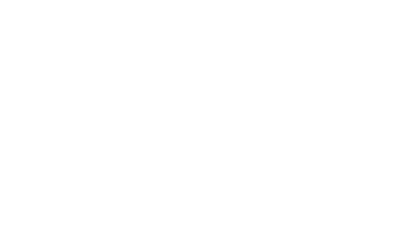 nisa logo